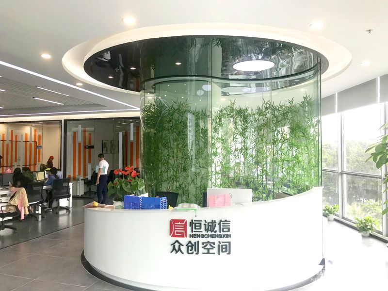 前台-实拍-91视频APP免费版装修