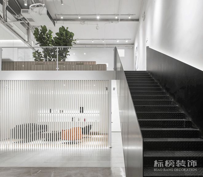 办公室植物摆放植物有哪些，怎么摆放比较好？